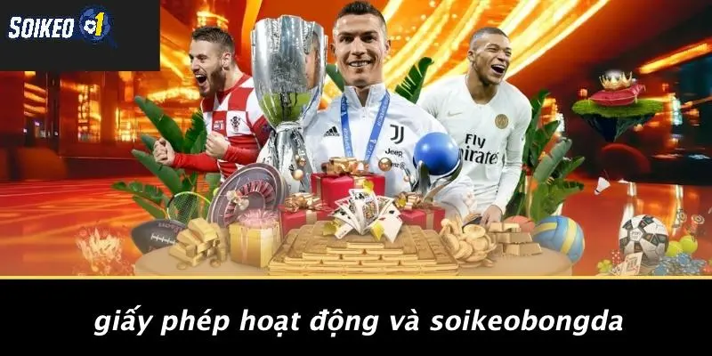 Giấy Phép Hoạt Động Và SOI KÈO