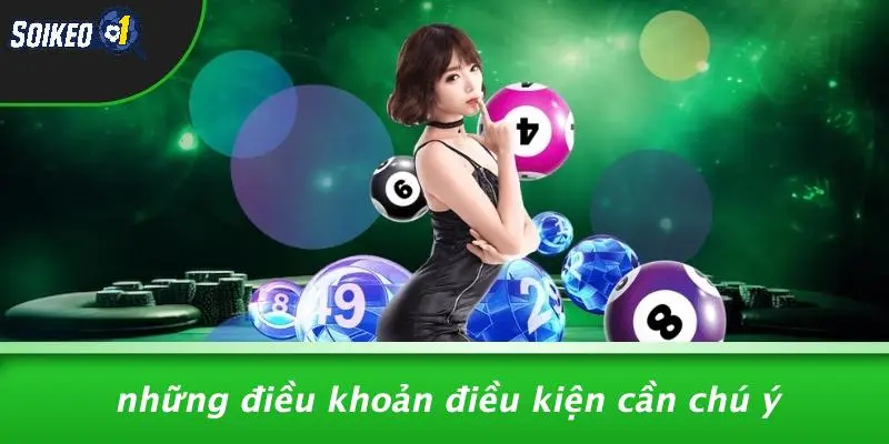 Những Điều Khoản Điều Kiện Cần Chú Ý
