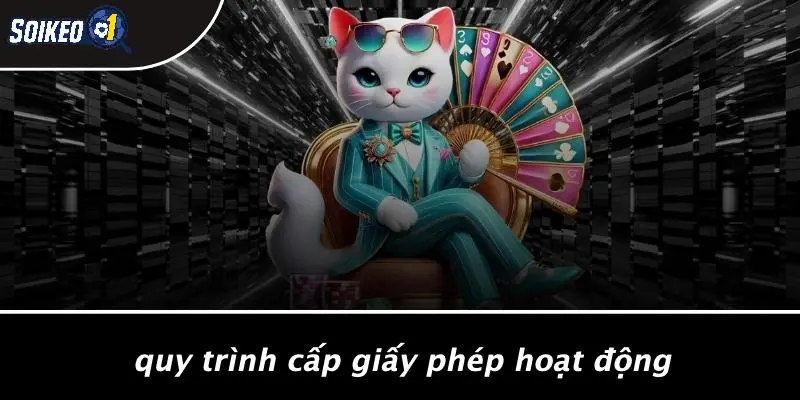 Quy Trình Cấp Giấy Phép Hoạt Động