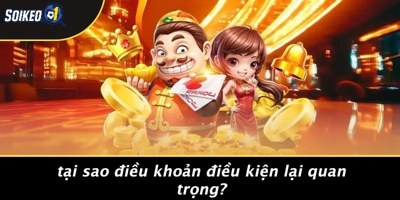Tại Sao Điều Khoản Điều Kiện Lại Quan Trọng?