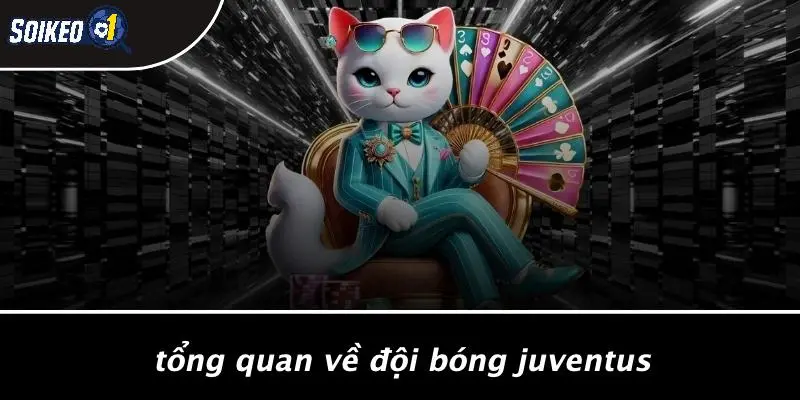 Tổng Quan Về Đội Bóng Juventus