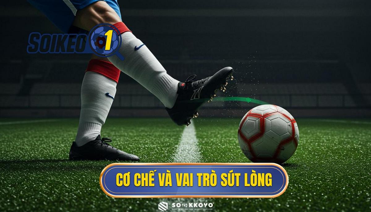 Phân Tích Cơ Chế Và Vai Trò Của Kỹ Thuật Sút Bóng Bằng Lòng Bàn Chân