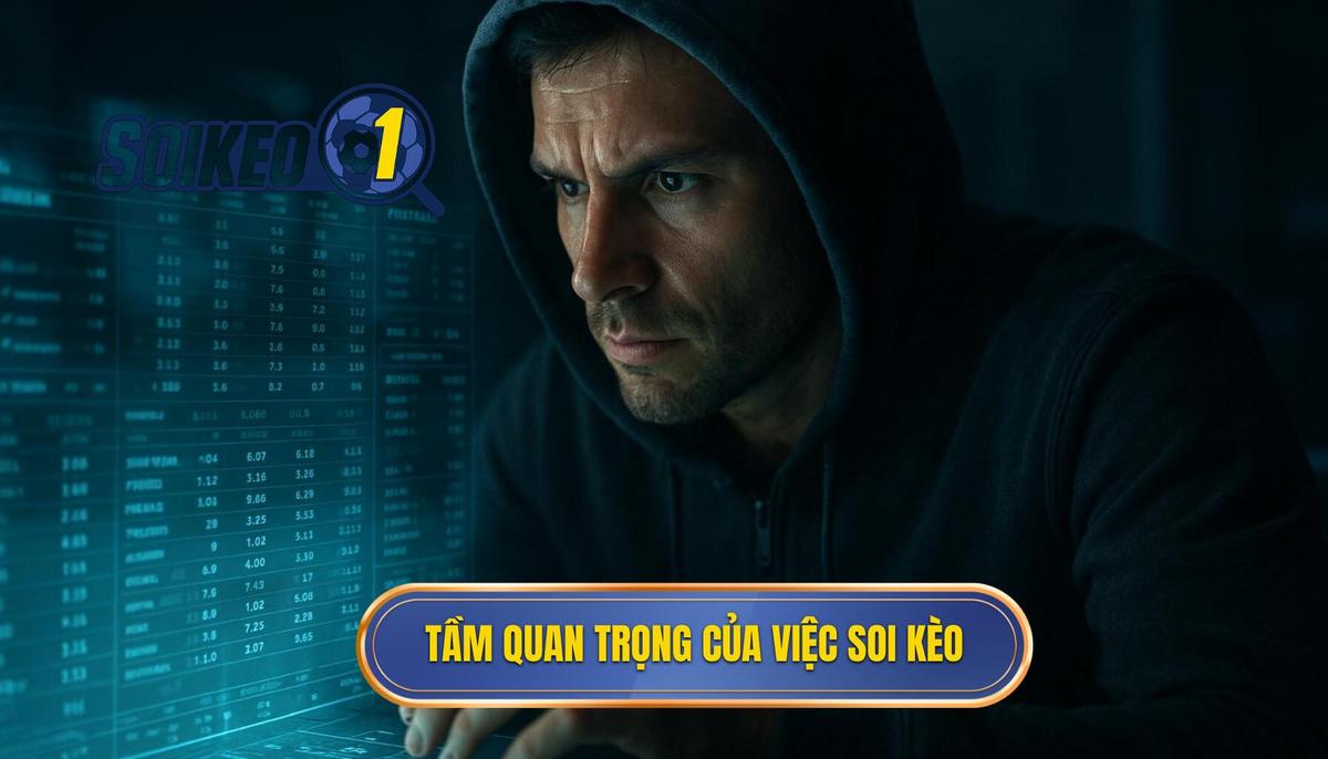 Bản chất và tầm quan trọng của việc soi kèo theo phong độ