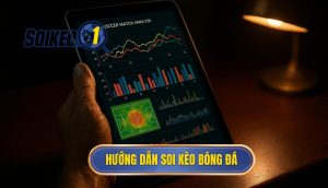 thumb - hướng dẫn soi kèo bóng đá