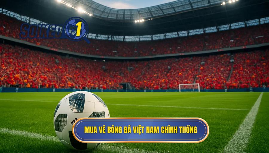 2. Mua vé bóng đá Việt Nam chính thống