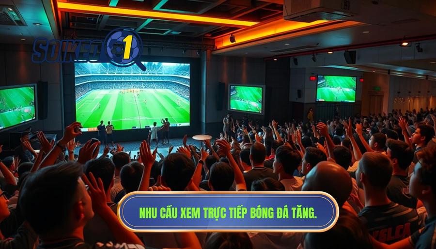 Tại sao nhu cầu xem trực tiếp bóng đá Việt Nam hôm nay ngày càng tăng mạnh?