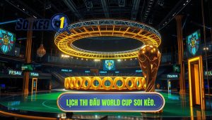 Lịch thi đấu World Cup mới nhất
