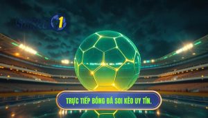 Trực tiếp bóng đá Việt Nam hôm nay